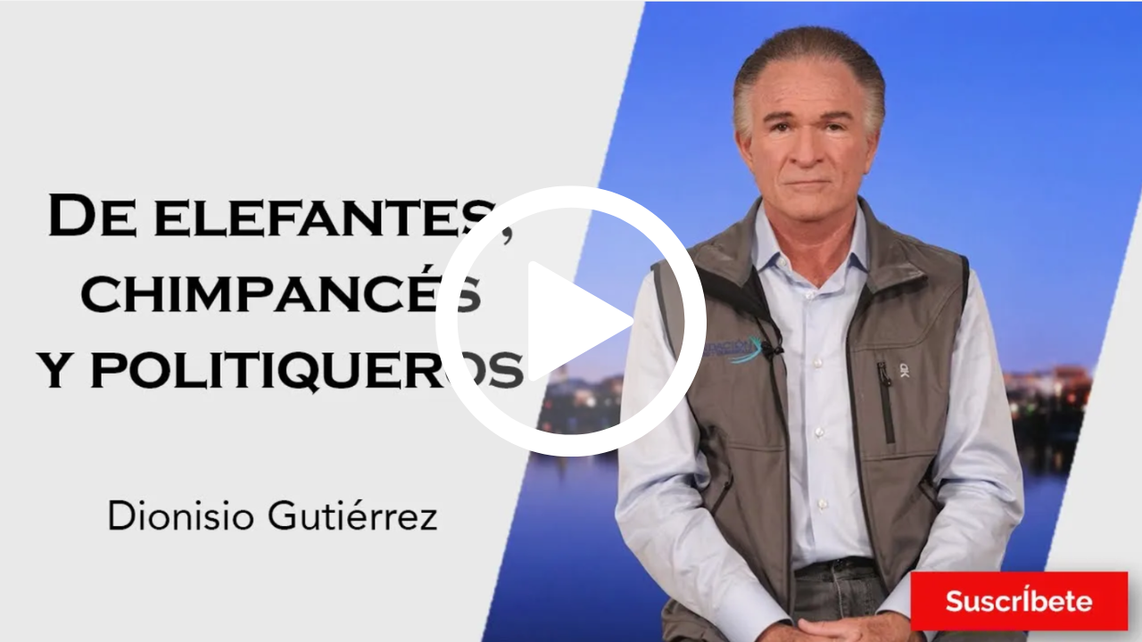 297. Dionisio Gutiérrez: De elefantes, chimpancés y politiqueros